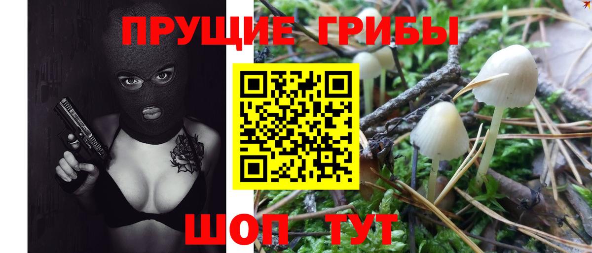 Уварово  где купить наркотик  Псилоцибиновые грибы Magic Shrooms  Вход с VPN  Псилоцибиновые грибы GOLDEN TEACHER 